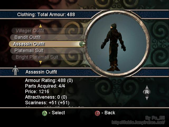Assassin Outfit Back